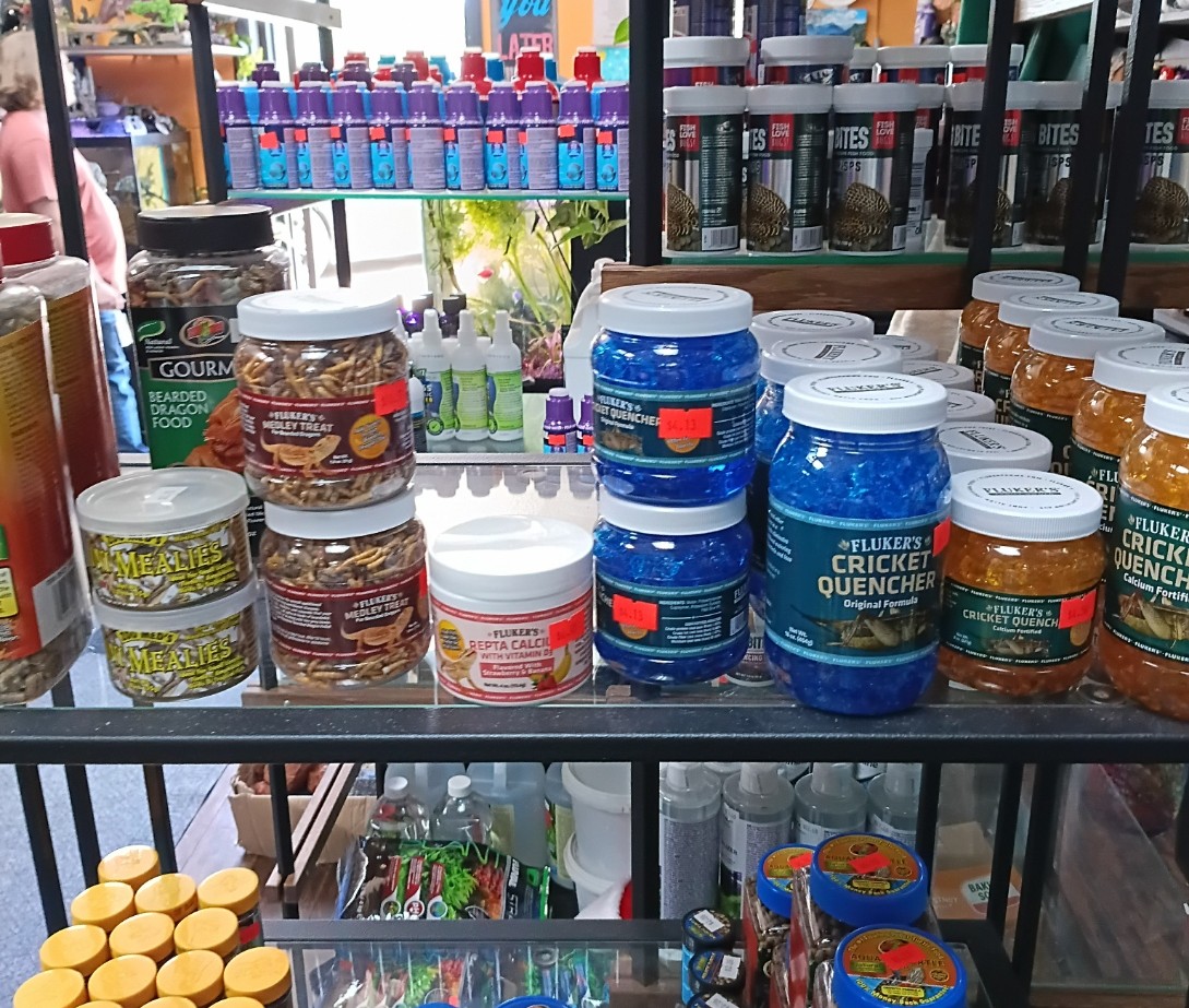 Inventory Item 8