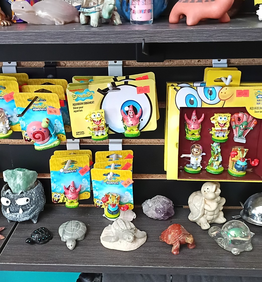 Inventory Item 10