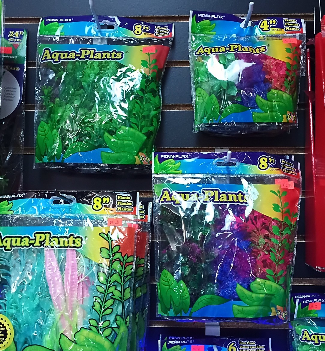 Inventory Item 9